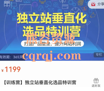 Yuki独立站垂直化选品特训营课程 Yuki独立站垂直化选品特训营课程