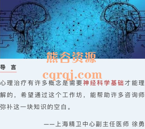 徐勇神经科学视角下的心理治疗，让心理治疗更专业