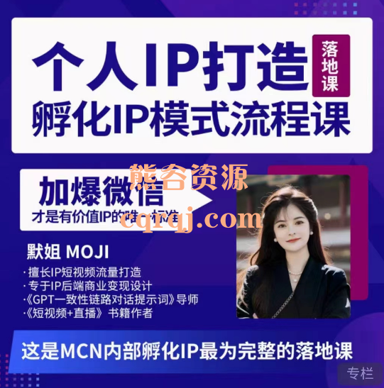 默姐《老板.商业IP孵化流程课》30天IP出圈计划高阶版 默姐《老板.商业IP孵化流程课》30天IP出圈计划高阶版
