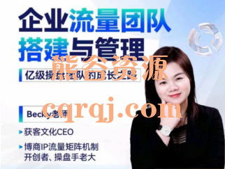 Becky：企业流量团队搭建与管理视频课