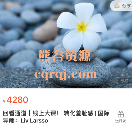 转化羞耻感，国际导师:Liv Larsso线上大课，价值4280