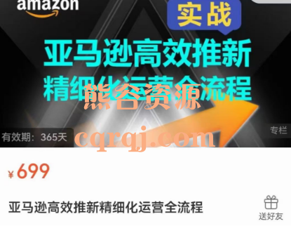 Lance亚马逊高效推新精细化运营全流程实战课程