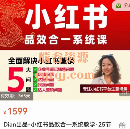 Dian出品:迪安小红书品效合一系统教学课程 Dian出品:迪安小红书品效合一系统教学课程