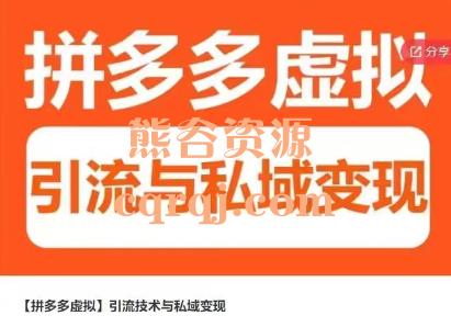 拼多多虚拟引流技术与私域变现课程