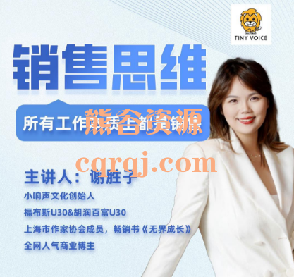 谢胜子销售思维课程