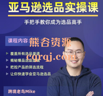 跨境老鸟Mike亚马逊选品实操课