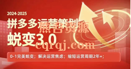 大力2024-2025 拼多多运营策略蜕变3.0课程