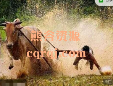 2024年只会炒股1-3月股哥龙腾班+3-5月股哥春分班视频课程