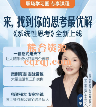 罗英怎样培养系统性思考能力，得到职场学习圈课程