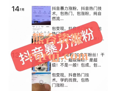 抖音暴力涨粉技术课程