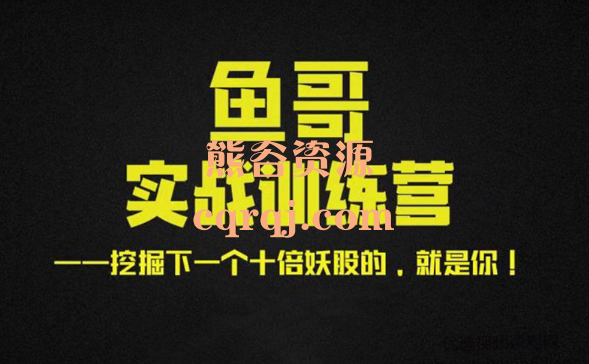 鱼哥:实战超短训练营 鱼哥:实战超短训练营