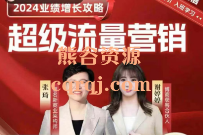 张琦2024超级流量营销课业绩增长攻略 张琦2024超级流量营销课业绩增长攻略