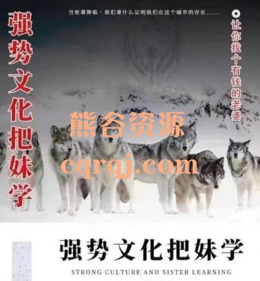 强势文化把妹学电子书