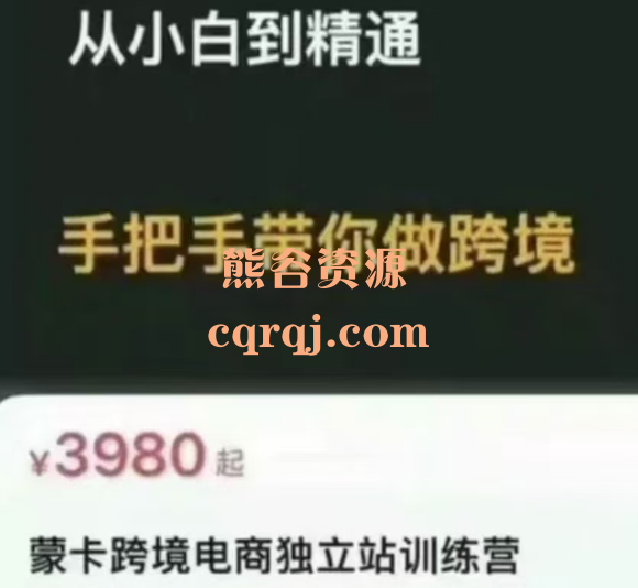 蒙卡跨境电商独立站训练营手把手带你做跨境