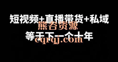 辉总短视频+直播带货+私域=下一个十年