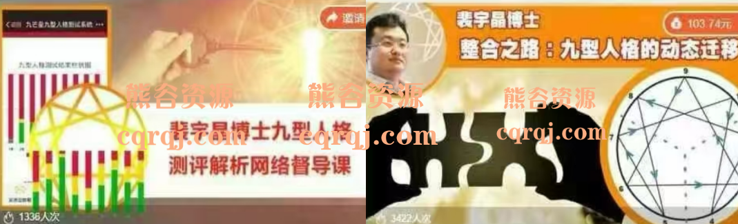 裴宇晶博土九型人格测评解析咨询师网络督导整合之路九型人格的动态迁移