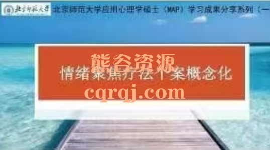 情绪聚焦疗法(EFT)个案概念化