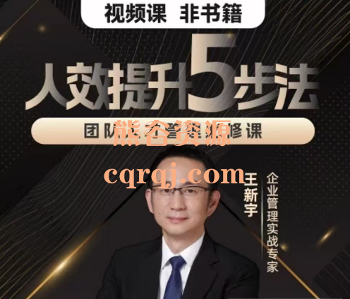 王新宇人效提升5步法，团队人才管理实操必修课