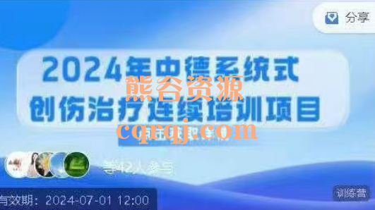 中德系统式创伤治疗连续培训项目视频课程