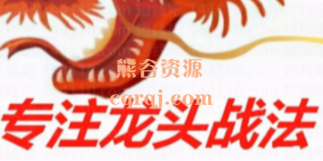 2025龙头战法系列课 2025龙头战法系列课