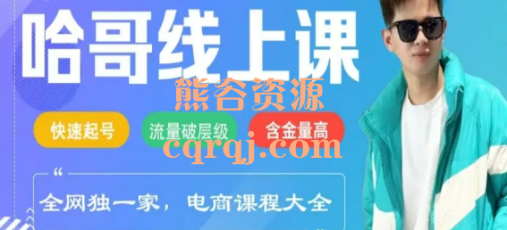 哈哥电商线上课程2025年快速起号