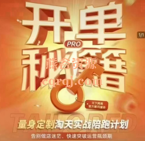 天下网商开单秘籍PRO版淘天实战陪跑计划