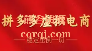 新侠拼多多虚拟电商