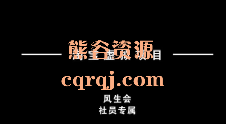 风生会淘宝虚拟项目从理论到实操
