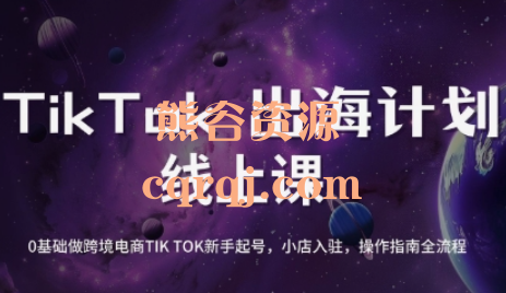 老吴：TikTok跨境电商新手起号与运营全攻略视频课程