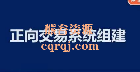 正向交易系统组建十节视频课