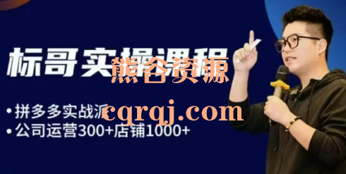 标哥电商飞龙在天玩法，拼多多实战派